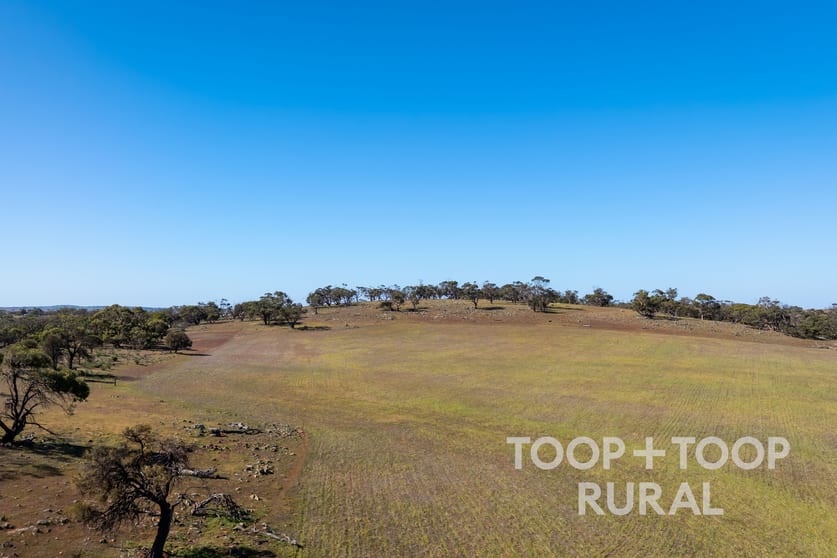 Click to view all images Oaklands Road Dutton SA 5356 - Image 2