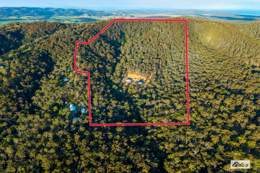290 Black Range Road Black Range NSW 2550 - Image 3