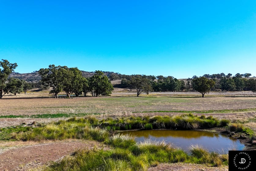 Click to view all images 229 Gowang Road Coonabarabran NSW 2357 - Image 3