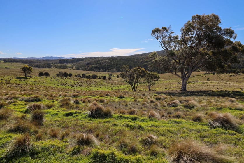 Click to view all images 881 Boro Road Boro NSW 2622 - Image 2