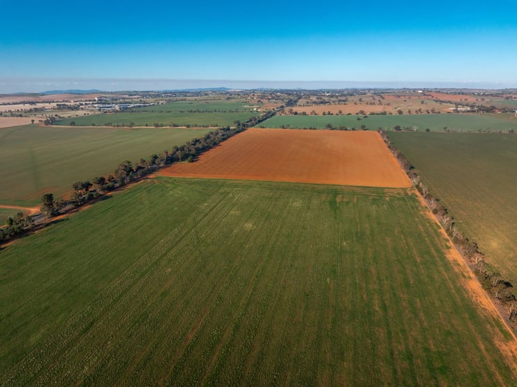 Click to view all images 3685 Olympic Highway Junee NSW 2663 - Image 2