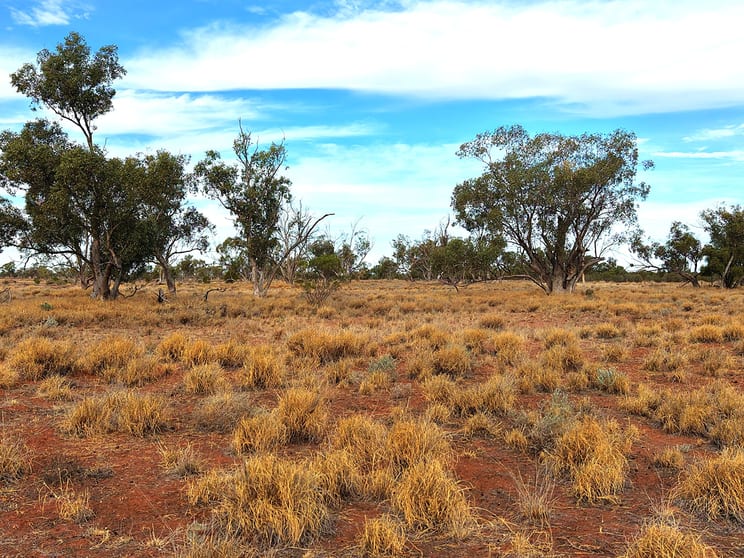 Click to view all images Bundaleer South Plains Road Cunnamulla QLD 4490 - Image 3