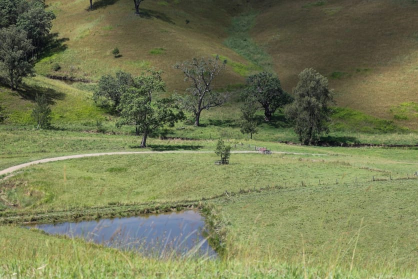 Click to view all images 5361 Armidale Road Bellbrook NSW 2440 - Image 3