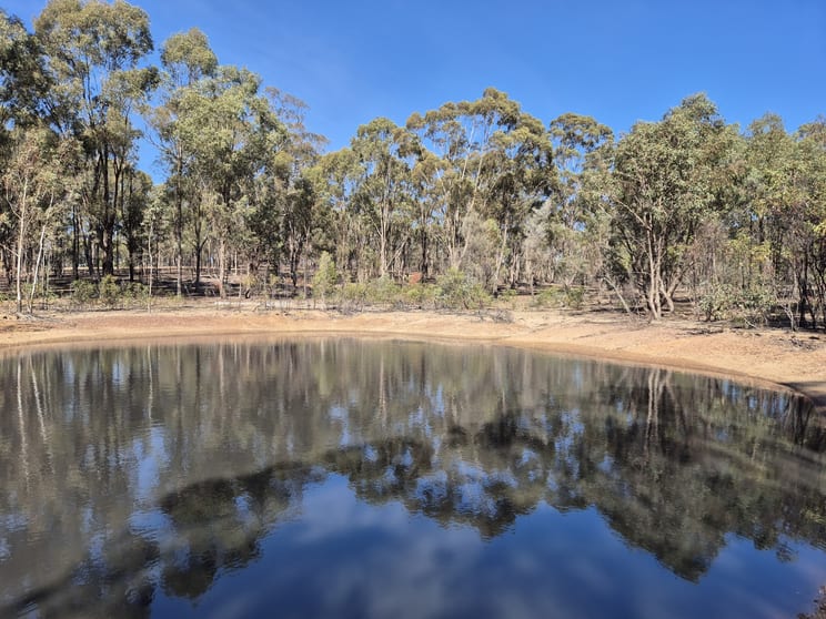 Click to view all images 1622 Dookie-Violet Town Road Koonda VIC 3669 - Image 3