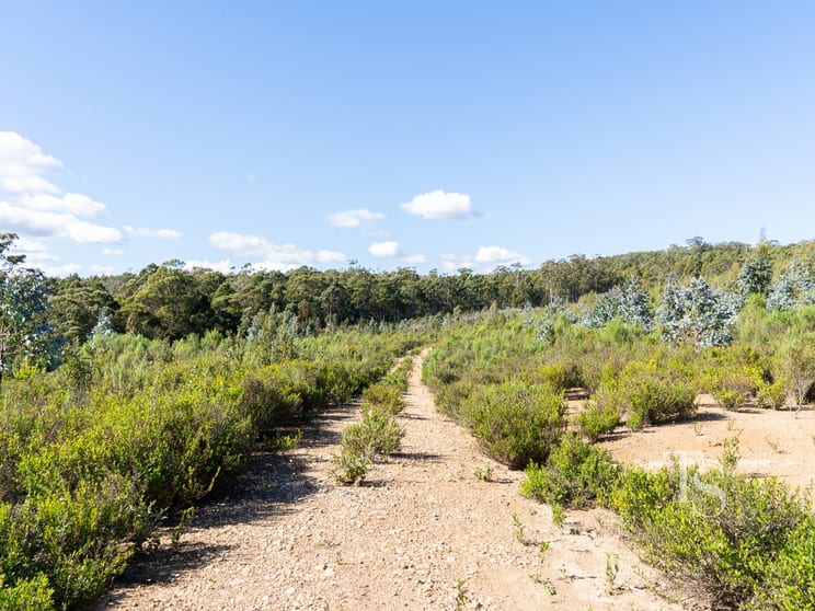 Click to view all images Lot 1 Bradys Creek Road Parkham TAS 7304 - Image 2