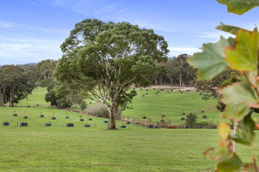 Click to view all images 764 Flaxley Road Flaxley SA 5153 - Image 3