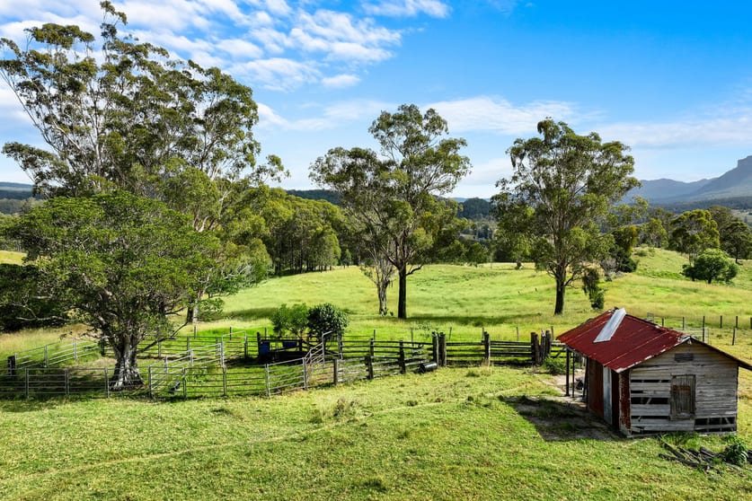 96 Coxs Road Sherwood NSW 2474 - Image 3