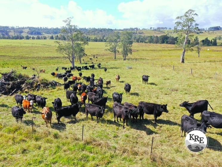 603 Knights Road Kyogle NSW 2474 - Image 1