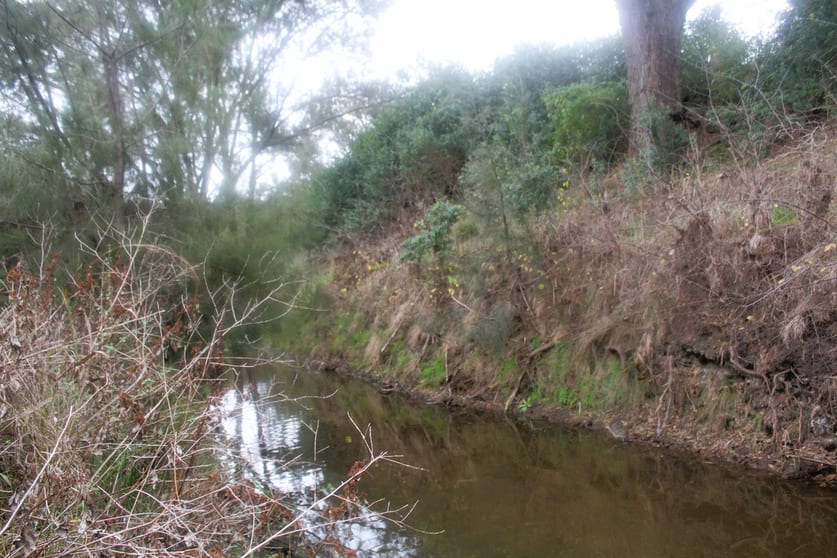 24/ Hermitage Emuvale Road Yangan QLD 4371 - Image 3