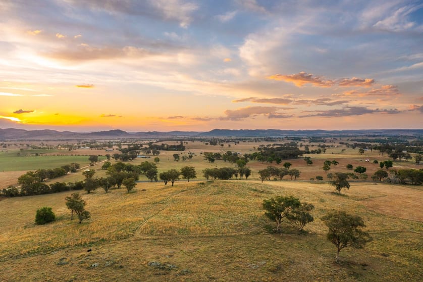 Click to view all images 705 Springfield Lane Gulgong NSW 2852 - Image 1