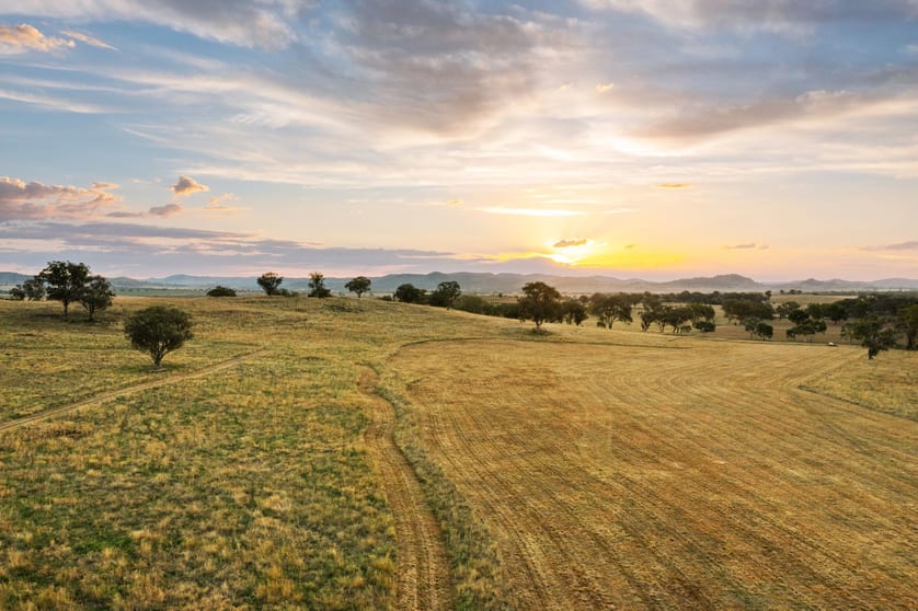 Click to view all images 705 Springfield Lane Gulgong NSW 2852 - Image 3