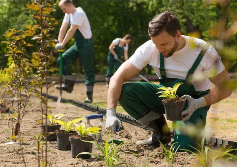 Garden & Household  business for sale in Sydney - Image 2