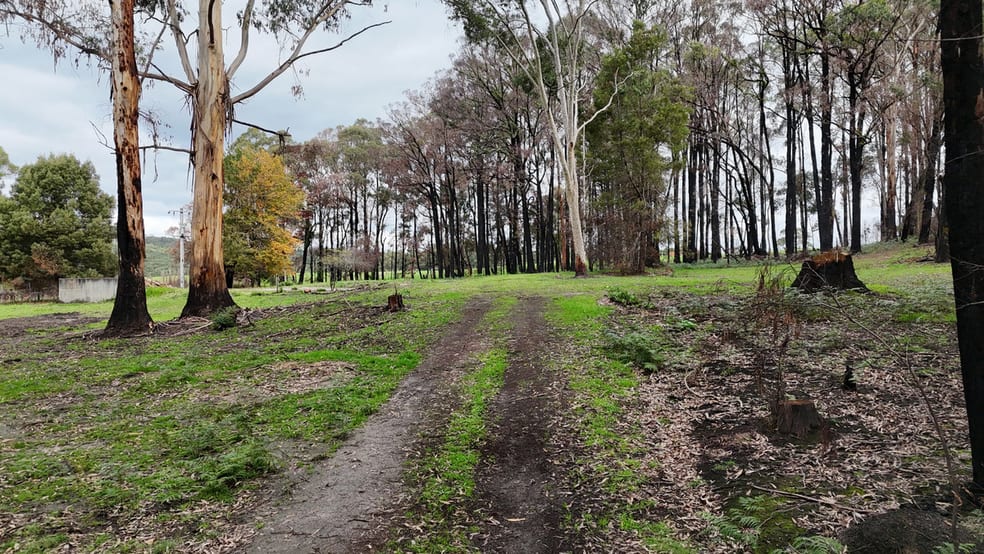 95 Wonga Road Kawarren VIC 3249 - Image 2