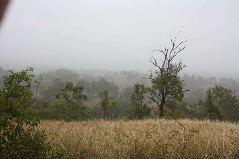 Click to view all images 3/3 Goyan Road New Moonta QLD 4671 - Image 3