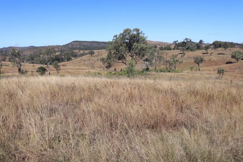 Click to view all images 'Sparrows' Monto Mount Perry Road Mount Perry QLD 4671 - Image 2