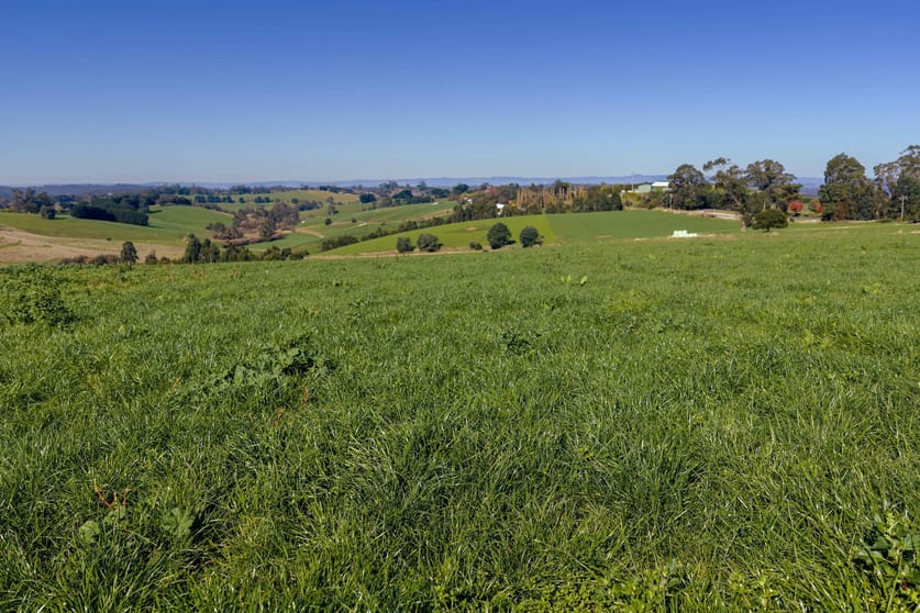 2230 Main Neerim Road Neerim South VIC 3831 - Image 1