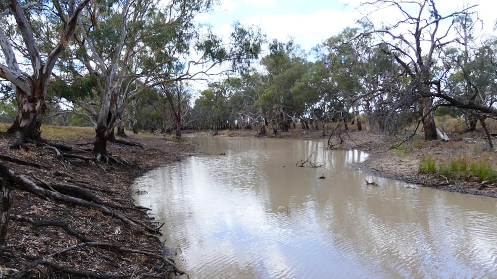 Marthaguy NSW 2824 - Image 1
