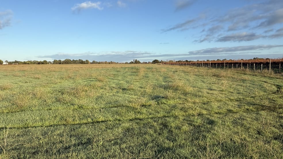 Click to view all images Lot 495 Ravenswood Lane Penola SA 5277 - Image 3