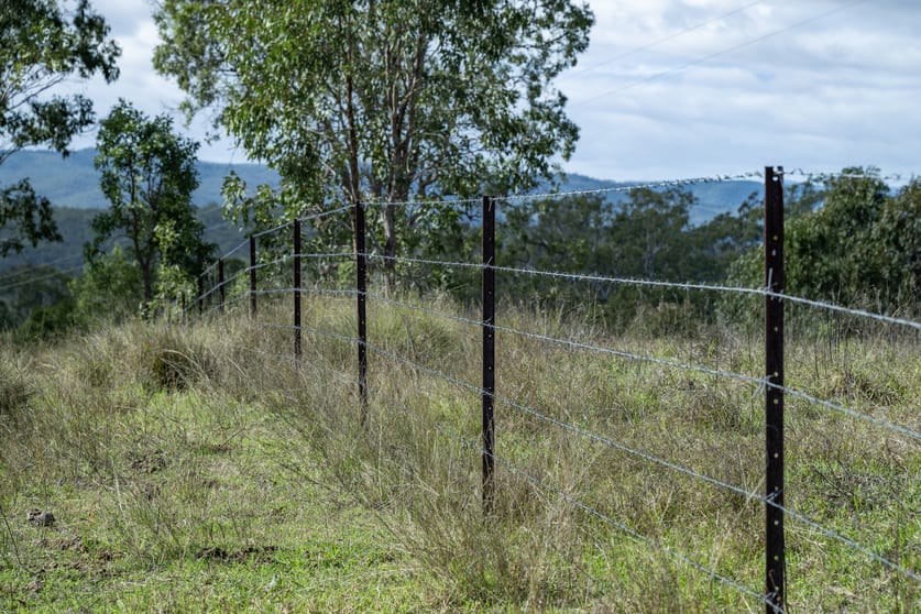 Click to view all images 275 Overcliffe Road Wylie Creek NSW 2372 - Image 3