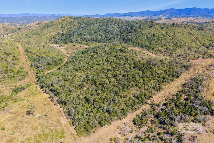 Click to view all images Lot 35 Aplin Road Bracewell QLD 4695 - Image 1