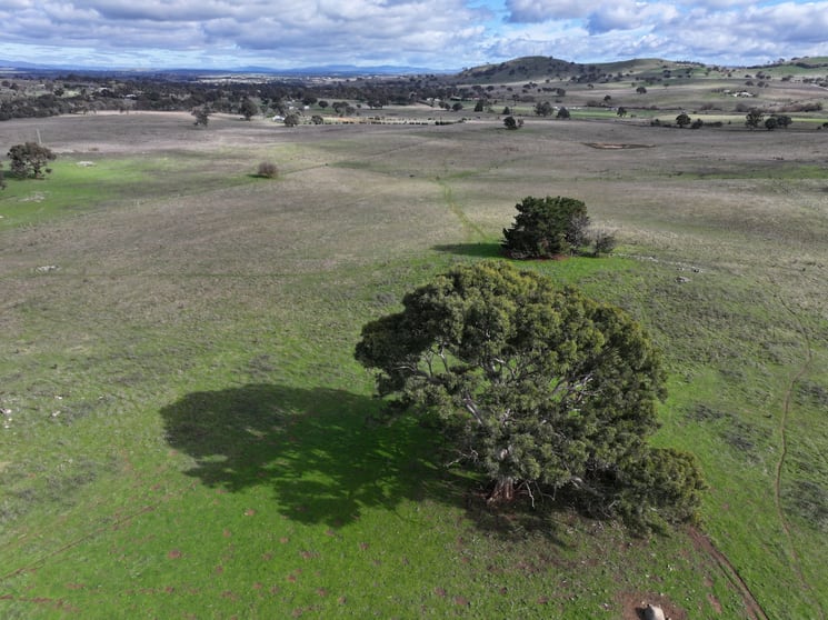 161 Yass Valley Way Yass NSW 2582 - Image 3
