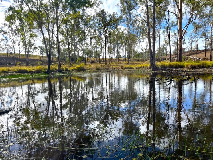 Lot 258/ Theis Road Brooklands QLD 4615 - Image 1