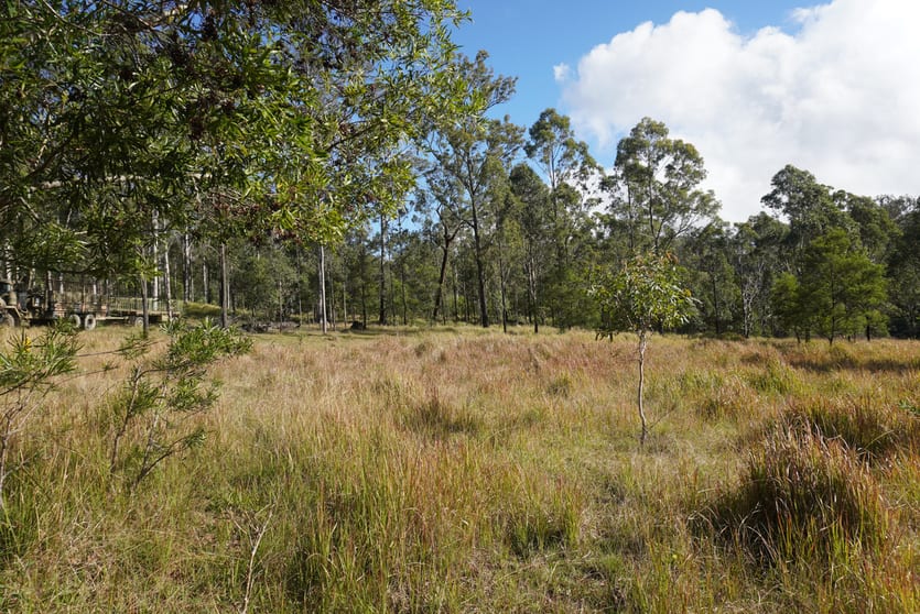 Lot 105 97 Long Gully Road Drake NSW 2469 - Image 2