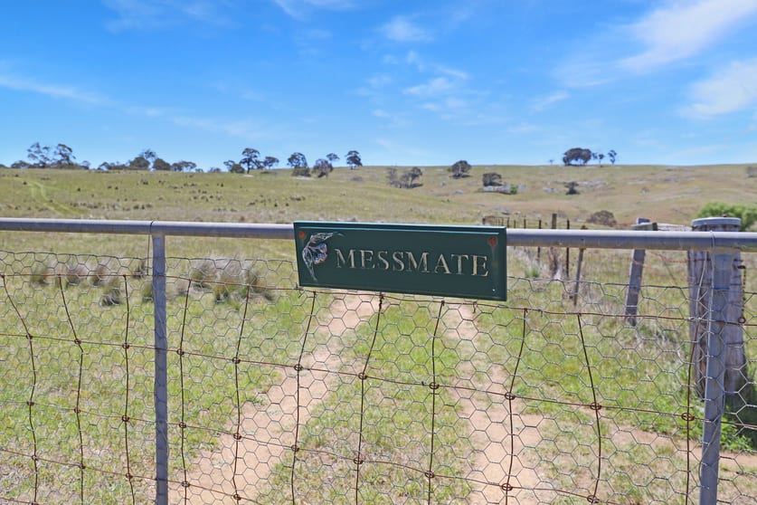 Click to view all images Lot 50 Delegate Road Bombala NSW 2632 - Image 2
