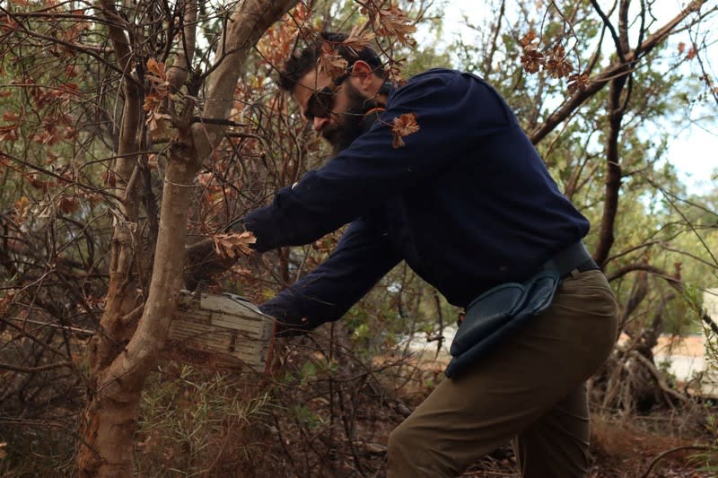Gardening  business for sale in Perth - Image 2