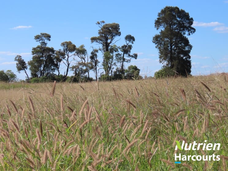 285 Burncluith Road Chinchilla QLD 4413 - Image 2