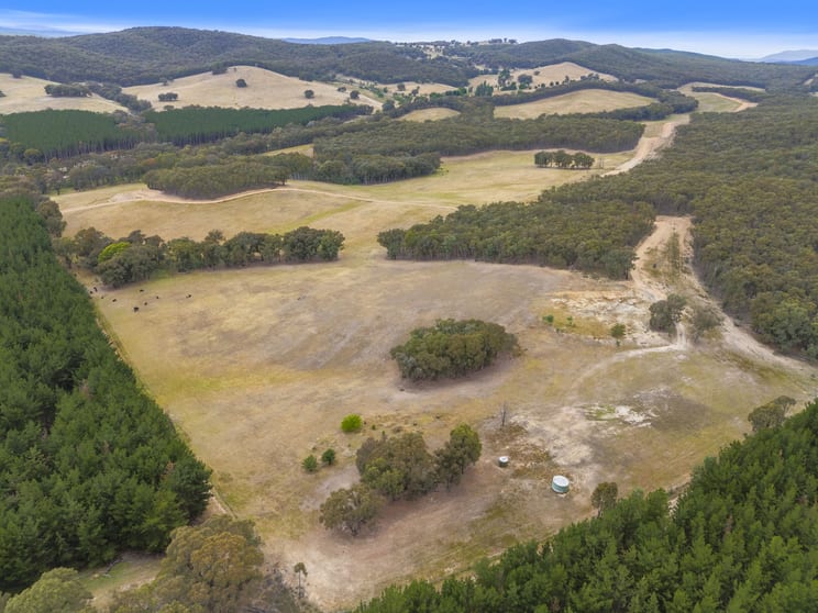 Click to view all images 1446 Four Mile Lane Little Billabong NSW 2644 - Image 1