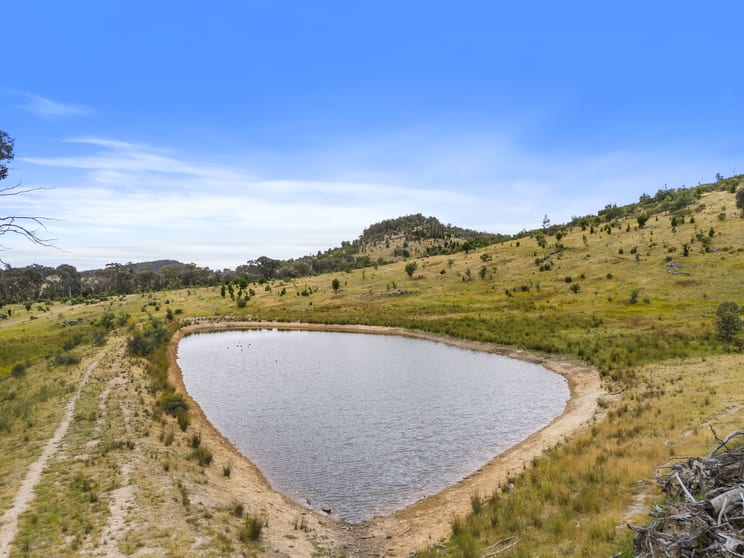 Click to view all images 1446 Four Mile Lane Little Billabong NSW 2644 - Image 3