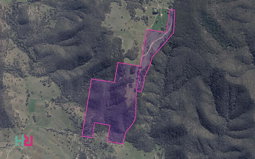 Click to view all images 350 Molybdonite Road Locksley NSW 2795 - Image 3