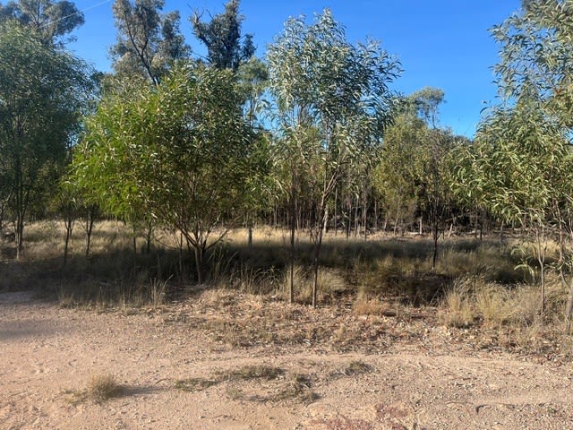 Click to view all images Lot 7 Cartens Lane Tara QLD 4421 - Image 3