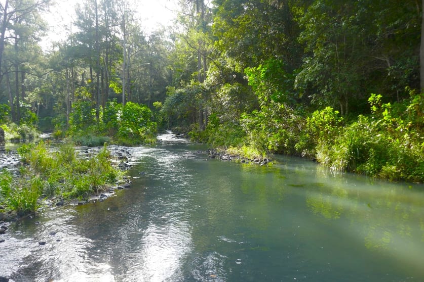 1108 Eden Creek Road Kyogle NSW 2474 - Image 2