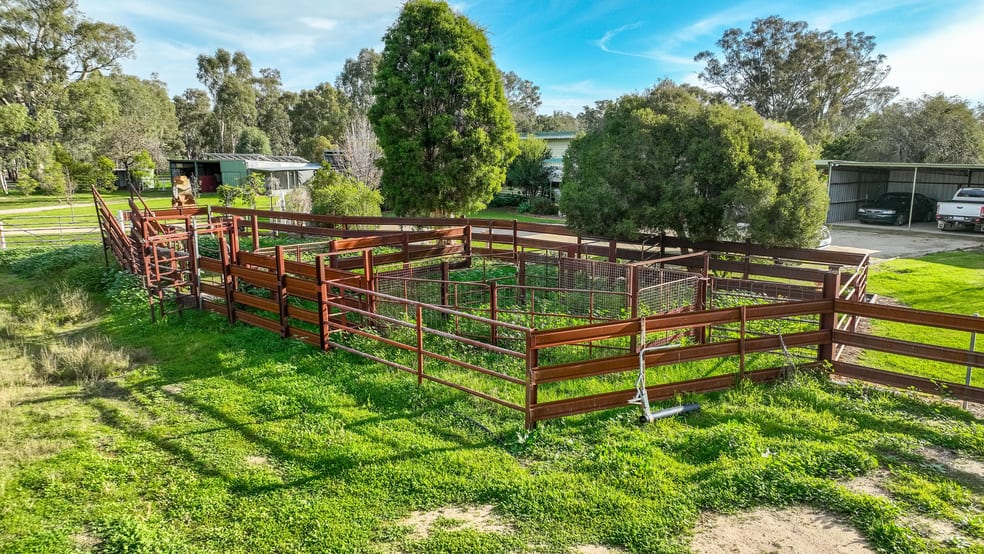 44 Wills Drive Deniliquin NSW 2710 - Image 3