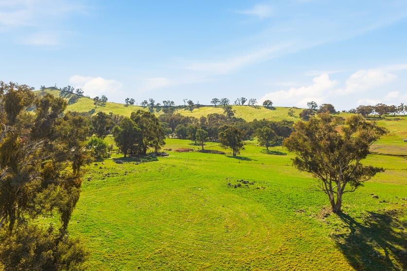 1992 Burley Griffin Way Binalong NSW 2584 - Image 3