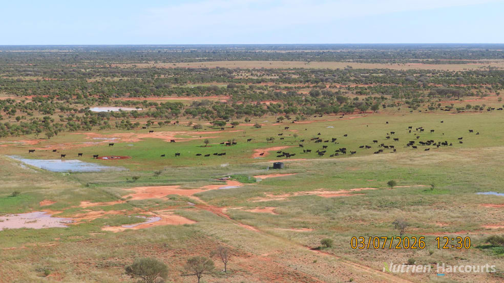 Click to view all images * Borrona Downs Station Broken Hill NSW 2880 - Image 1
