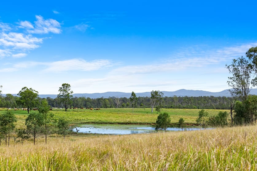 7605 Summerland Way Rappville NSW 2469 - Image 2