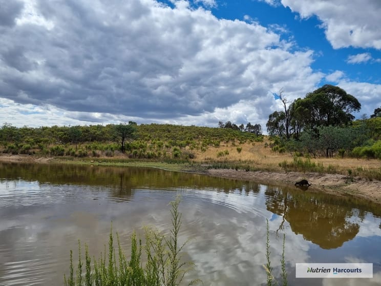 Click to view all images 1 Barry Lane Tooborac VIC 3522 - Image 1