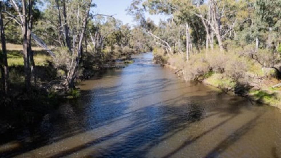 Click to view all images Lot 11 Mole River Road Tenterfield NSW 2372 - Image 1