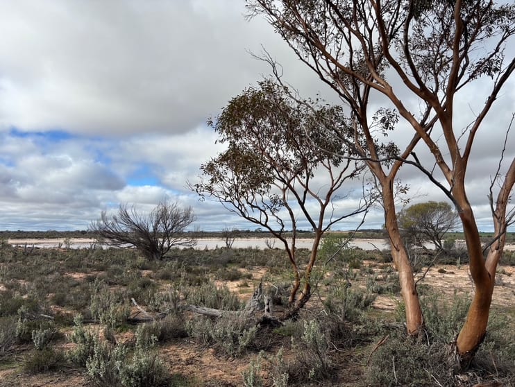21 Goldfields Road (Baandee) Kellerberrin WA 6410 - Image 1