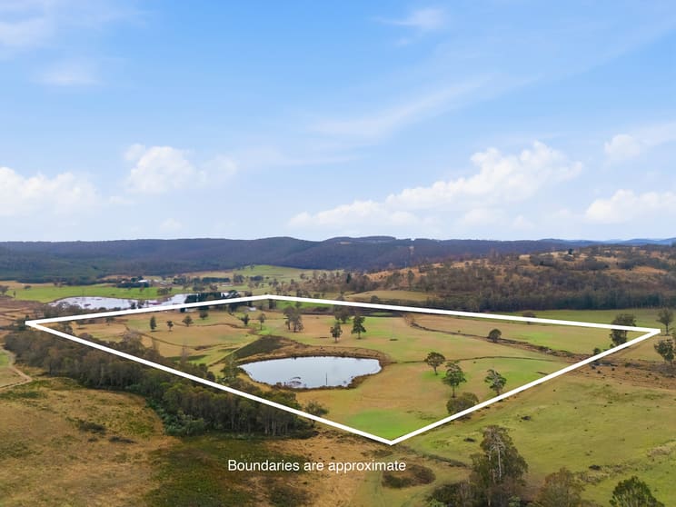 4492 Tasman Highway Runnymede TAS 7190 - Image 3