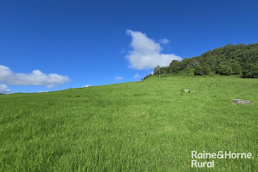 1087 Wattamolla Road Kangaroo Valley NSW 2577 - Image 2