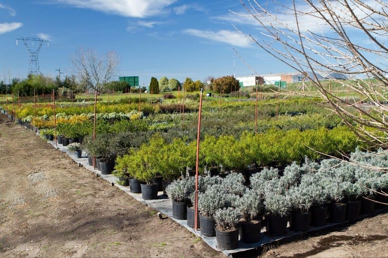 Click to view all images Nursery business for sale in Melbourne - Image 3