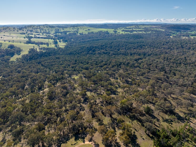 Click to view all images Lot 1, 244 Cobb Drive Woodstock NSW 2793 - Image 2