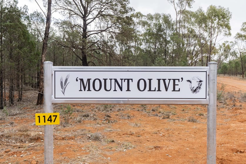 1147 Kamarah Road Landervale NSW 2652 - Image 1