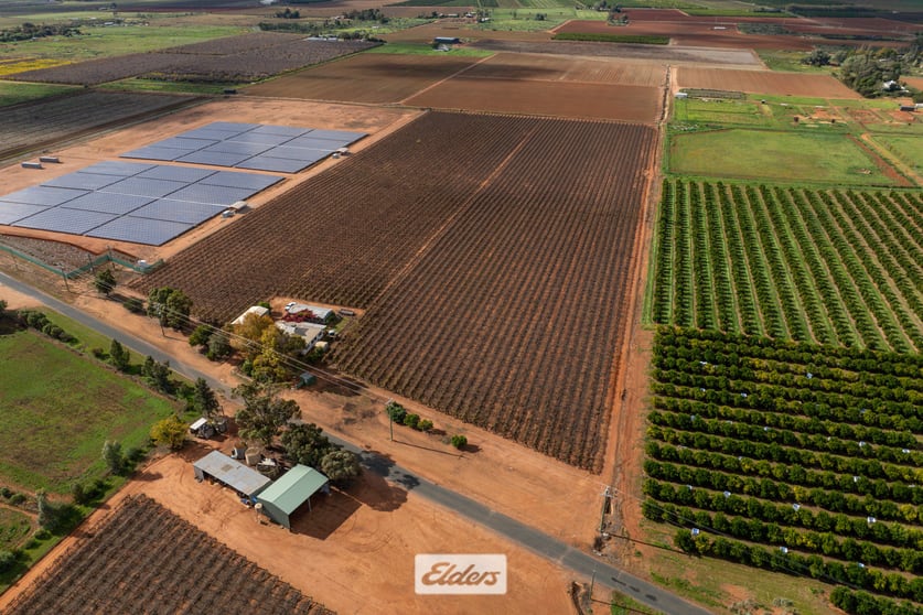 Click to view all images 166 Keenans Drive Coomealla NSW 2717 - Image 3