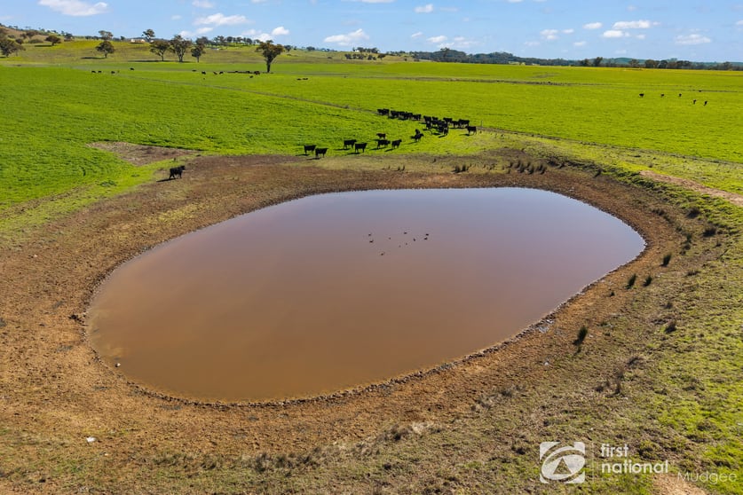 365 Erudgere Lane Mudgee NSW 2850 - Image 3