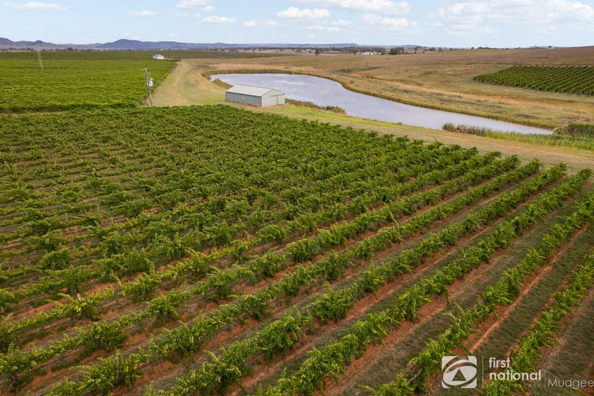Click to view all images 46 Shiraz Drive Gulgong NSW 2852 - Image 2